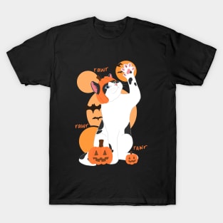 HALLOWEEN PUMPKIN BLACK & WHITE CAT T-Shirt